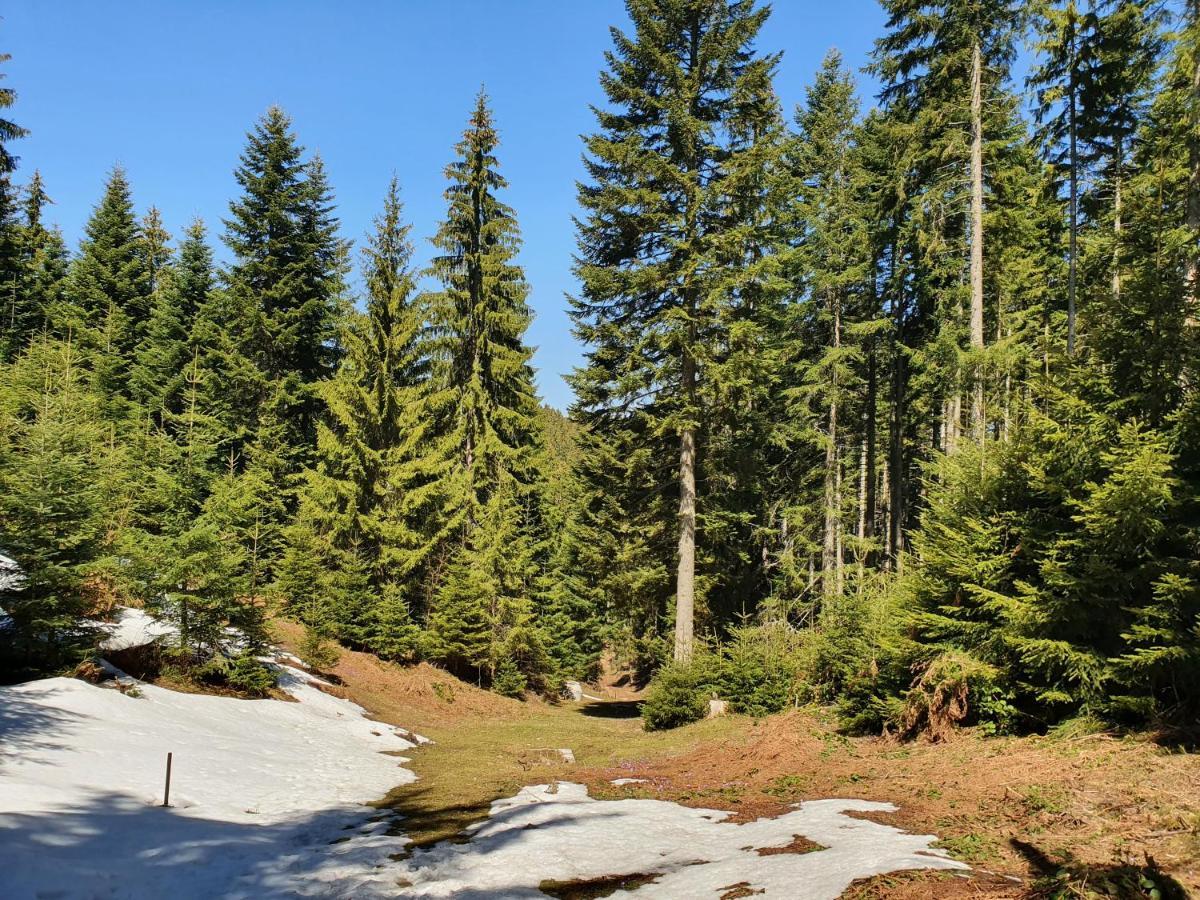 Zlatar Luxury Chalet - Trace Of Nature 2214 Nova Varoš 외부 사진