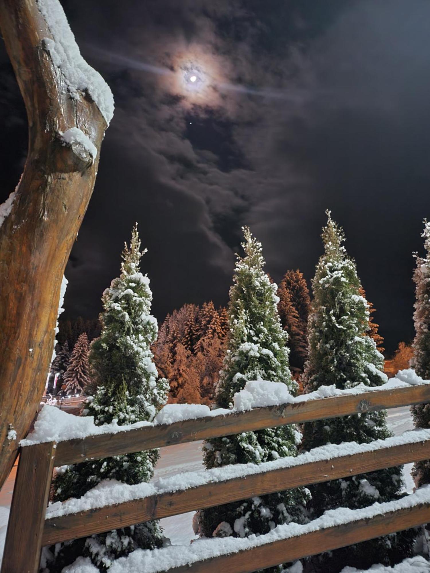Zlatar Luxury Chalet - Trace Of Nature 2214 Nova Varoš 외부 사진
