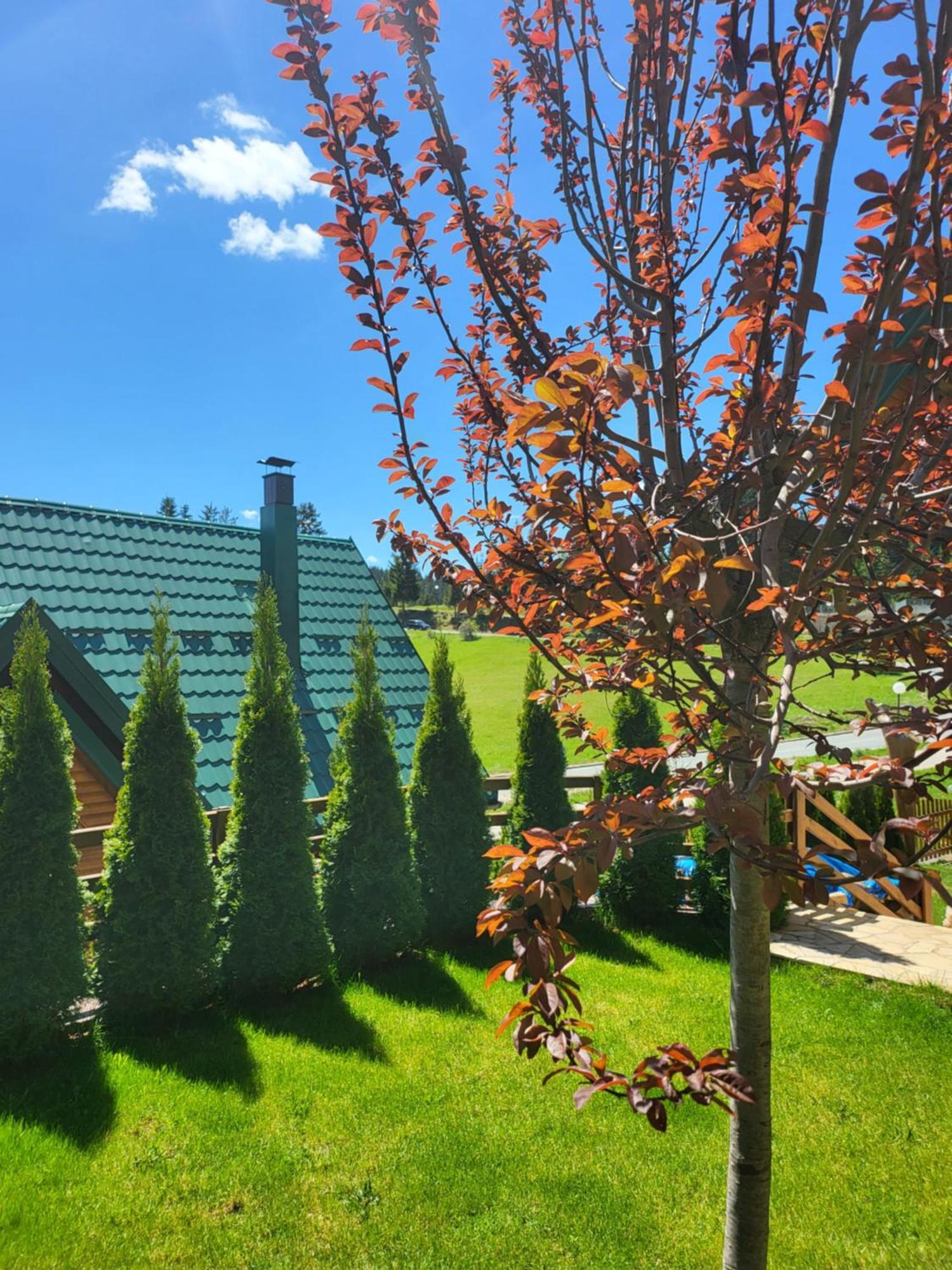 Zlatar Luxury Chalet - Trace Of Nature 2214 Nova Varoš 외부 사진