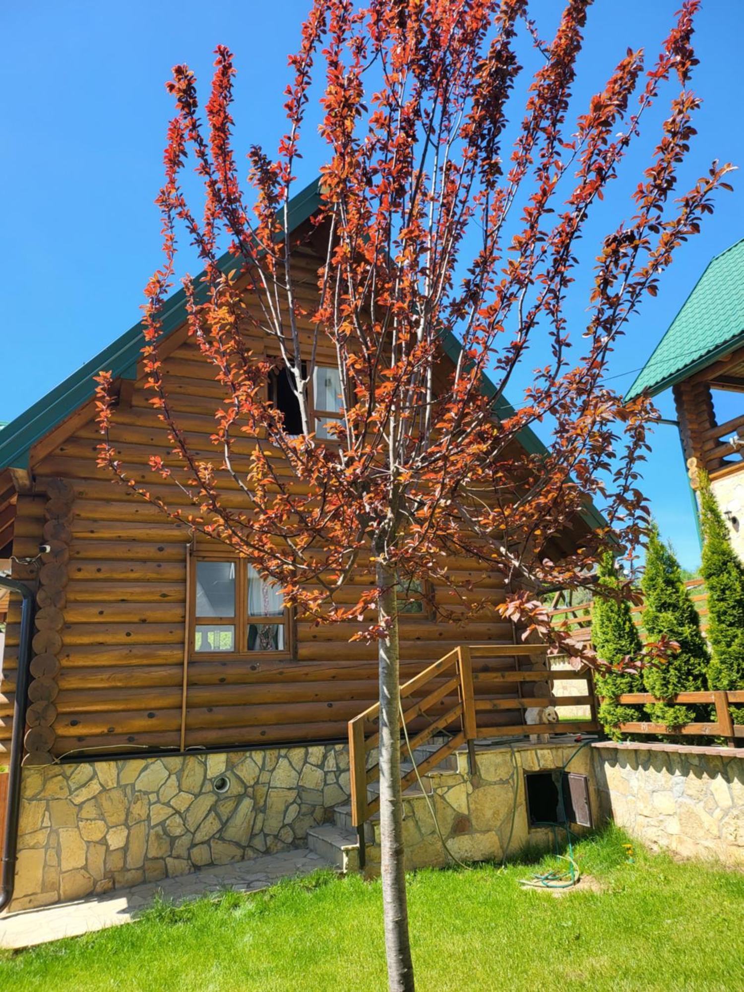Zlatar Luxury Chalet - Trace Of Nature 2214 Nova Varoš 외부 사진